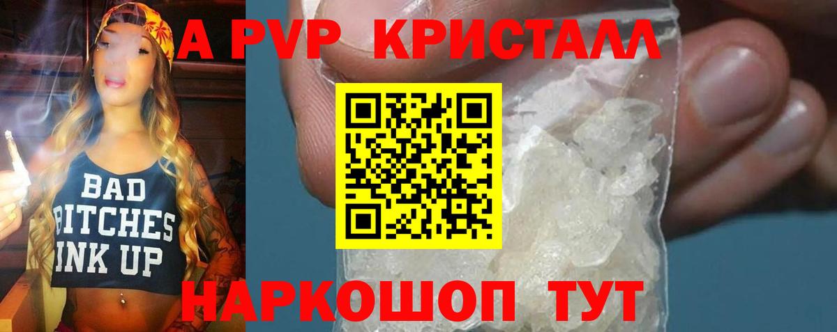 Альфа ПВП крисы CK  Вход с VPN  А ПВП крисы CK  Владикавказ 