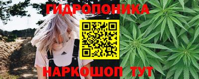 мяу мяу мука Бийск