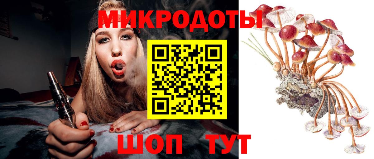 Владикавказ  Псилоцибиновые грибы Psilocybine cubensis  Вход с VPN 
